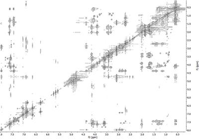 Overcome Chemoresistance: Biophysical and Structural Analysis of Synthetic FHIT-Derived Peptides